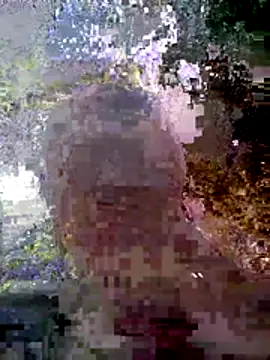 Kim mon online show from November 27, 6:05 am