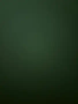 Spring-spring online show from December 1, 12:52 pm