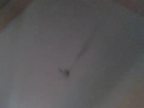 BellahG90 online show from November 22, 1:58 pm