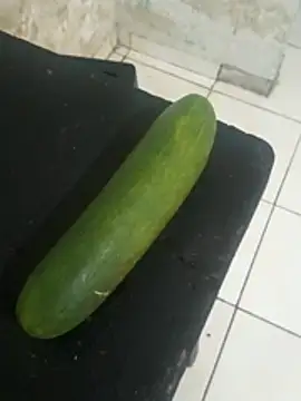  - boqueteira 011 online show from December 5, 11:22 am