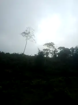 Amiluli online show from March 24, 1:33 am