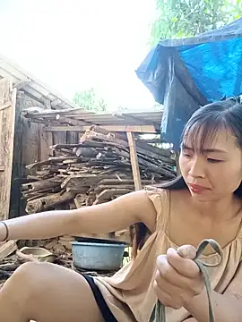 xiaogoal online show from June 5, 9:37 am