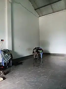 xiaogoal online show from June 17, 8:48 am