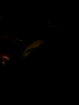 him220 online show from March 3, 7:58 am