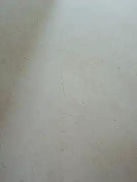 Lyly-68688 online show from July 30, 1:28 am