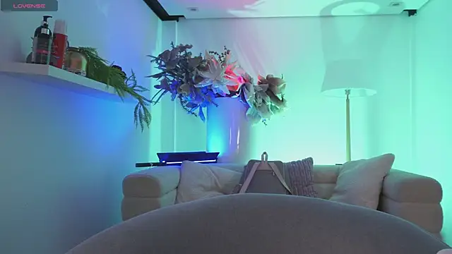 Dailyn  1 online show from January 16, 7:43 pm