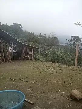 cutebobi online show from February 4, 7:22 am