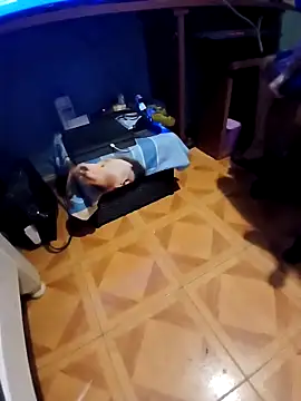 Luzz12 online show from March 21, 11:32 pm