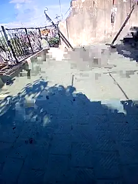 Luzz12 online show from March 17, 1:15 pm