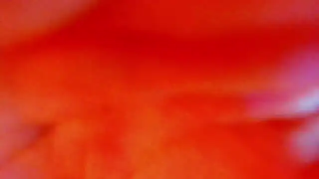 Katty Kiiss  online show from May 5, 4:04 am