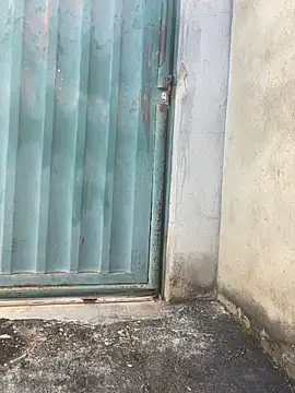 eu sofia online show from March 18, 11:59 am