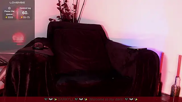 Darkyll33 online show from February 12, 6:04 am