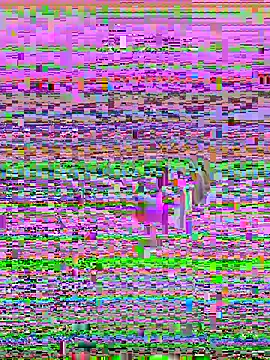 ElyseeXXX online show from March 7, 11:23 pm