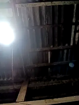 Lucky baby7 online show from March 7, 2:51 am