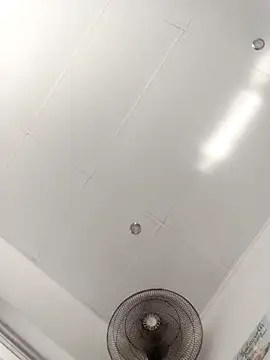 Baby P online show from March 18, 10:09 am