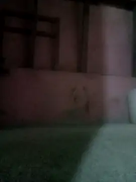 LA Diva fuck me online show from March 8, 6:28 am