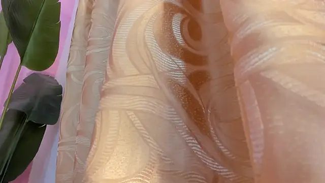 evelyn  rose1 online show from March 8, 2:04 am