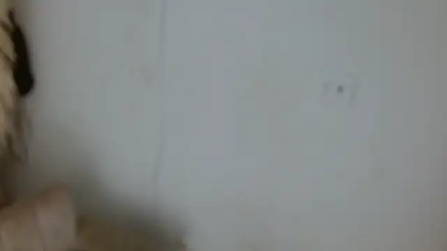 chanel bitch1609 online show from March 18, 8:47 pm