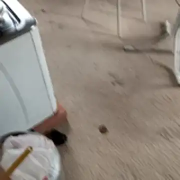 hotwife   br online show from April 6, 3:46 pm