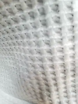 Aurora Nova online show from March 25, 6:05 am