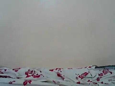 Hornysmoker20 online show from July 7, 6:47 am