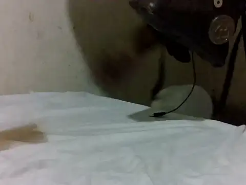 shaxy13 online show from July 28, 4:51 pm