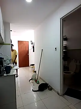 africa deluxe online show from March 15, 12:40 pm