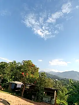 Brenda Berck  online show from November 26, 12:28 pm