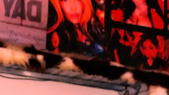 indian dreamgirl online show from September 28, 2:00 pm