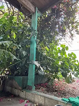 Sofyalone  online show from January 13, 12:09 pm