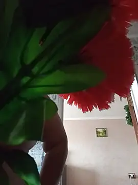 Amy August online show from August 3, 10:54 am