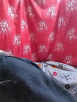 Zuli Kiska online show from October 26, 8:26 pm