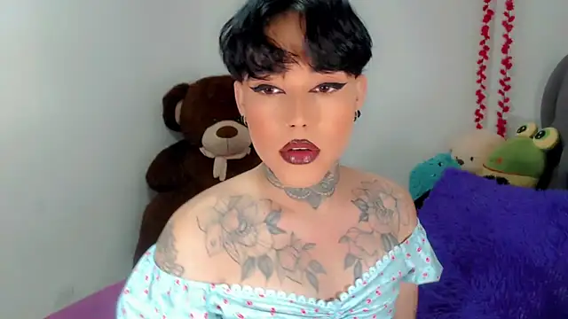 little star porn online show from November 19, 2:33 am