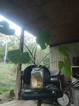 xomikaylaxo online show from October 30, 10:33 pm