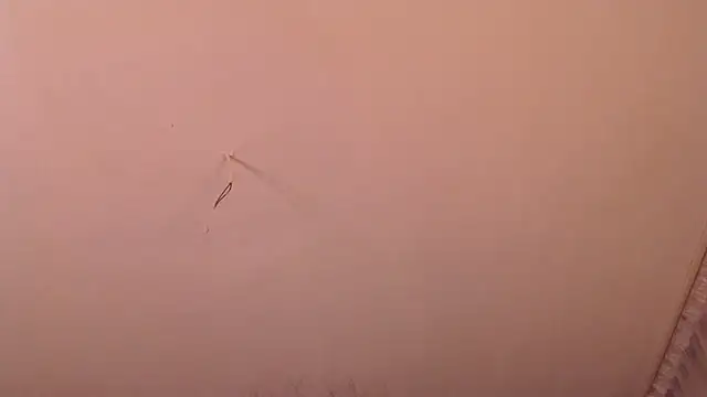 RebeccaStone online show from November 10, 4:29 am