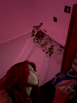 dinamita Blair online show from December 17, 6:06 am