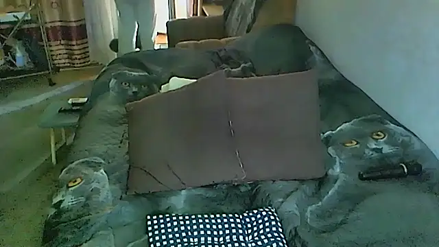 sex2 online show from November 2, 1:42 am