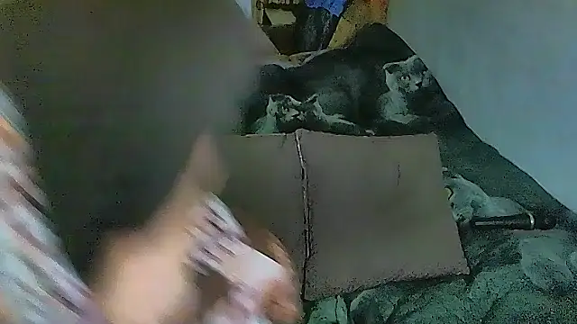 sex2 online show from October 1, 2:27 am