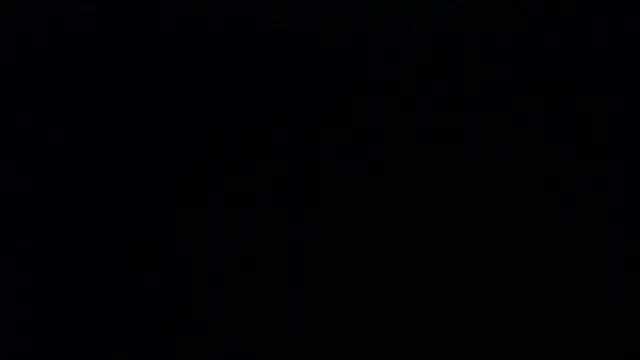 alexa milsf online show from July 11, 2:44 am