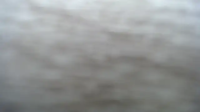 DAPHNE doll online show from November 25, 4:53 pm