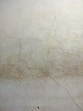 wet babexxx online show from November 26, 8:15 am