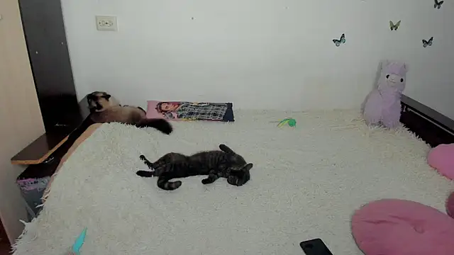 NataliEvans online show from June 18, 10:14 pm