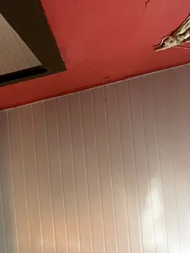 pimenta gaby online show from November 27, 1:41 am