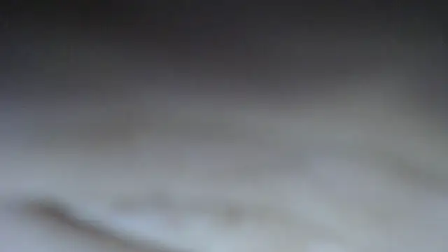 swt shadow online show from March 15, 8:44 pm