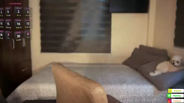 bella maxwel online show from March 13, 1:51 am