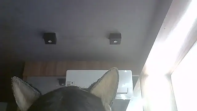 Skinny-Kitten online show from July 31, 3:29 am