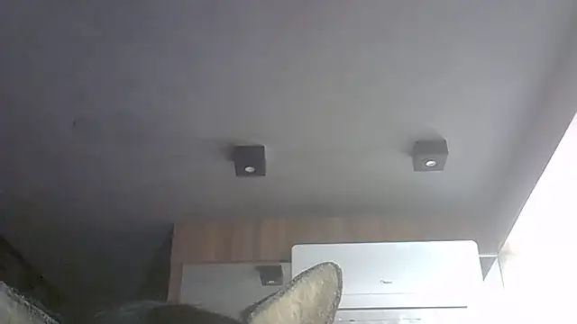 Skinny-Kitten online show from July 10, 10:38 am