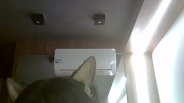 Skinny-Kitten online show from July 20, 11:45 am