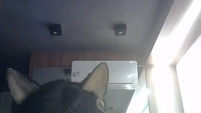Skinny-Kitten online show from July 27, 6:10 am