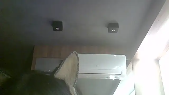 Skinny-Kitten online show from July 30, 1:17 am